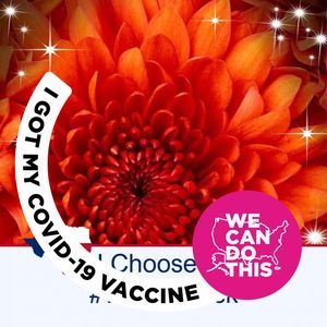 Meet your Posher, Joyce